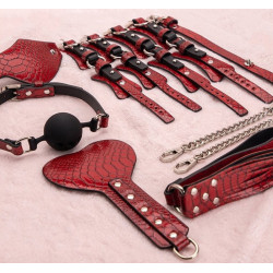 Generique Kit BDSM 7 Pièces Caïman Rouge